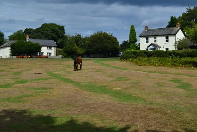 Forest cottages at Appleslade Bottom near Linwood — cluster of traditional New Forest dwellings
